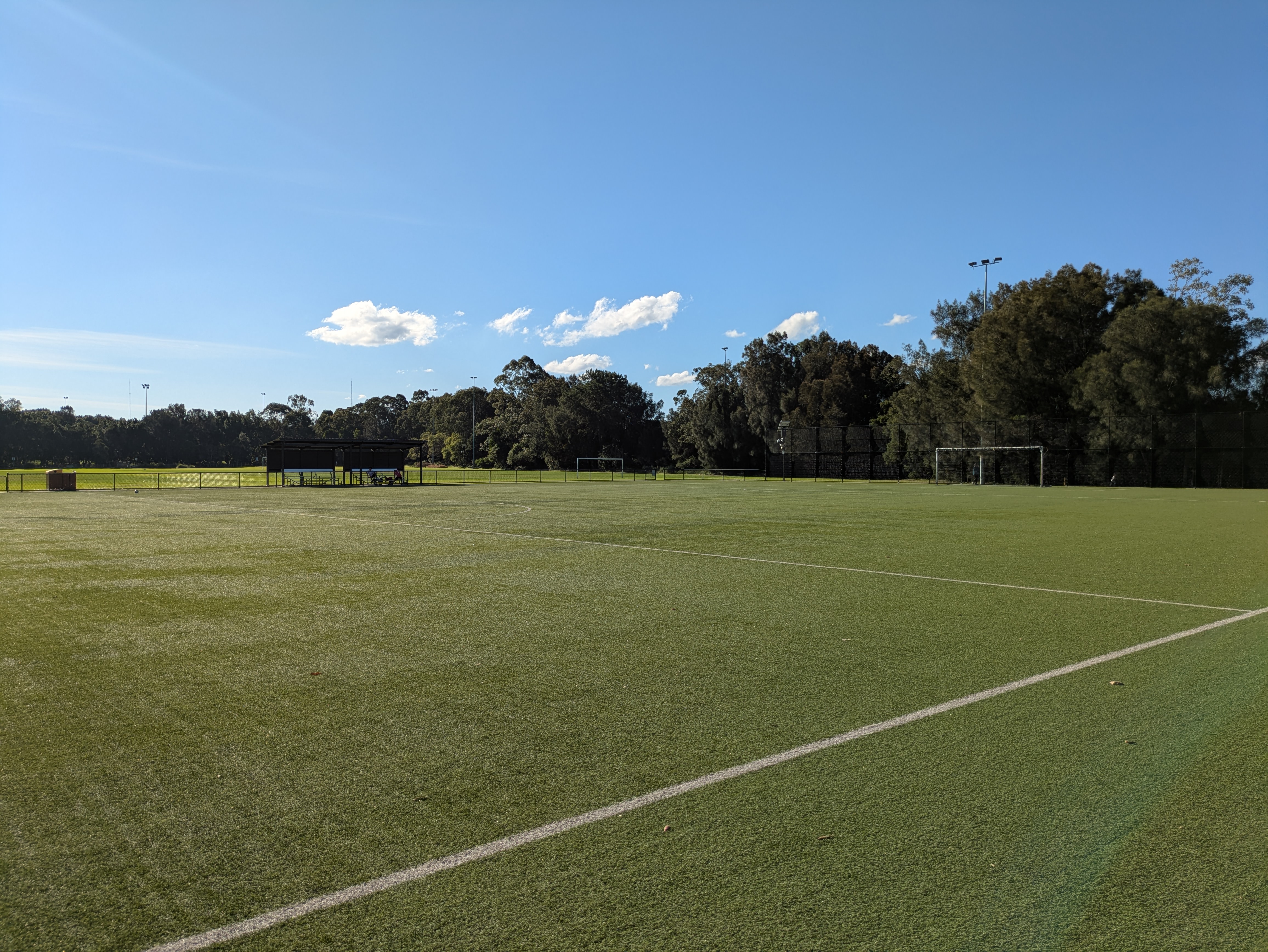 Open grass and recreation space at Mason Park.