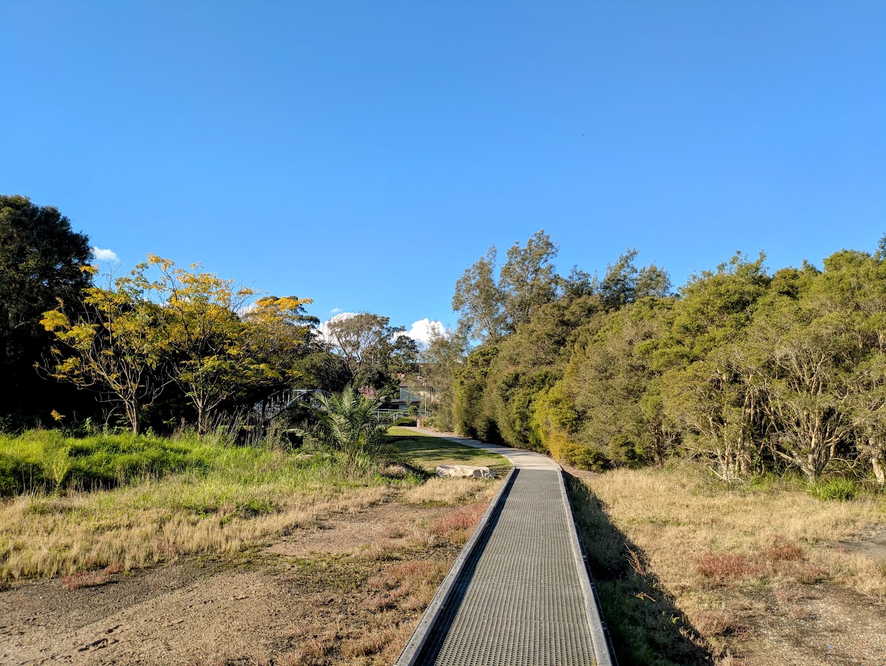 Wetland landscape at Mason Park Wetlands.