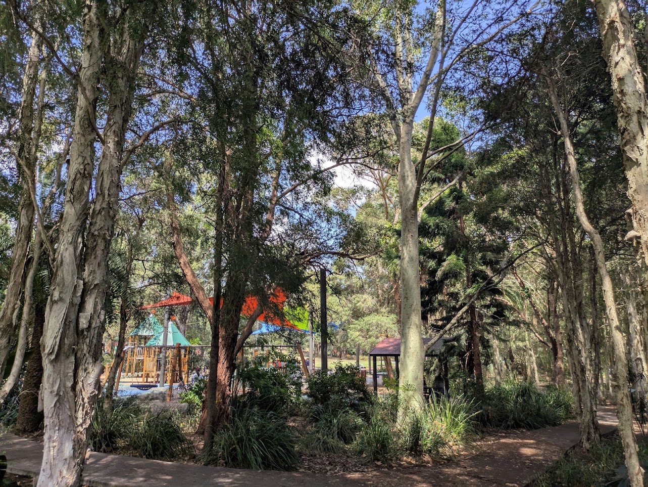 Lawns and trees at Strathfield Park.